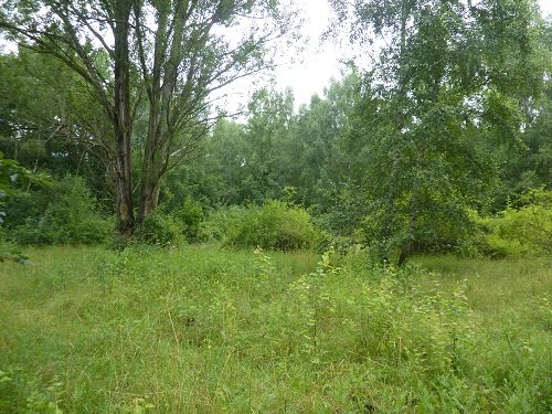 park_südgelande_berlin park_südgelande_berlin