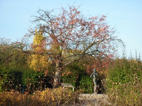 Jardin botanique Berlin
