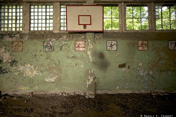 -®hall sport insci5