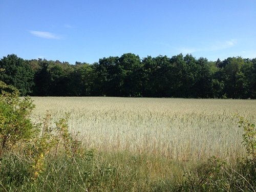 Paysage le long de l'ancien mur de Berlin