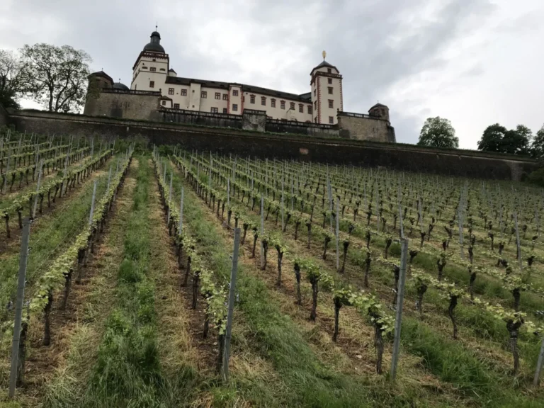 Lire la suite à propos de l’article Guide de Wurtzbourg