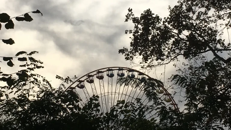 Lire la suite à propos de l’article Spreepark, un parc d&rsquo;attraction abandonné renaît