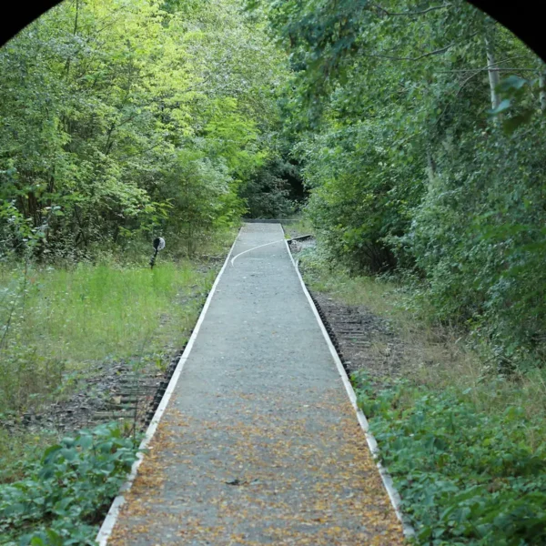 Le Natur-Park Südgelande à Berlin