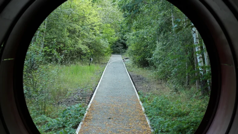 Lire la suite à propos de l’article Natur-Park Südgelände : la nature reprend ses droits !