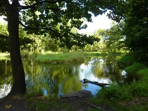 Marzahn_Berlin_nature