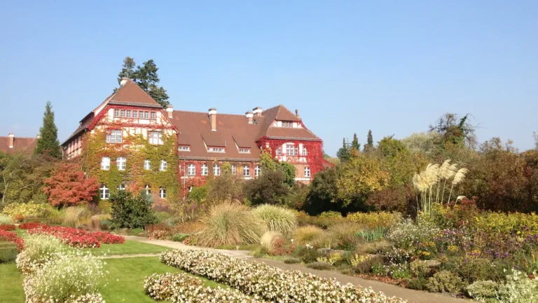 Lire la suite à propos de l’article Le jardin botanique de Berlin