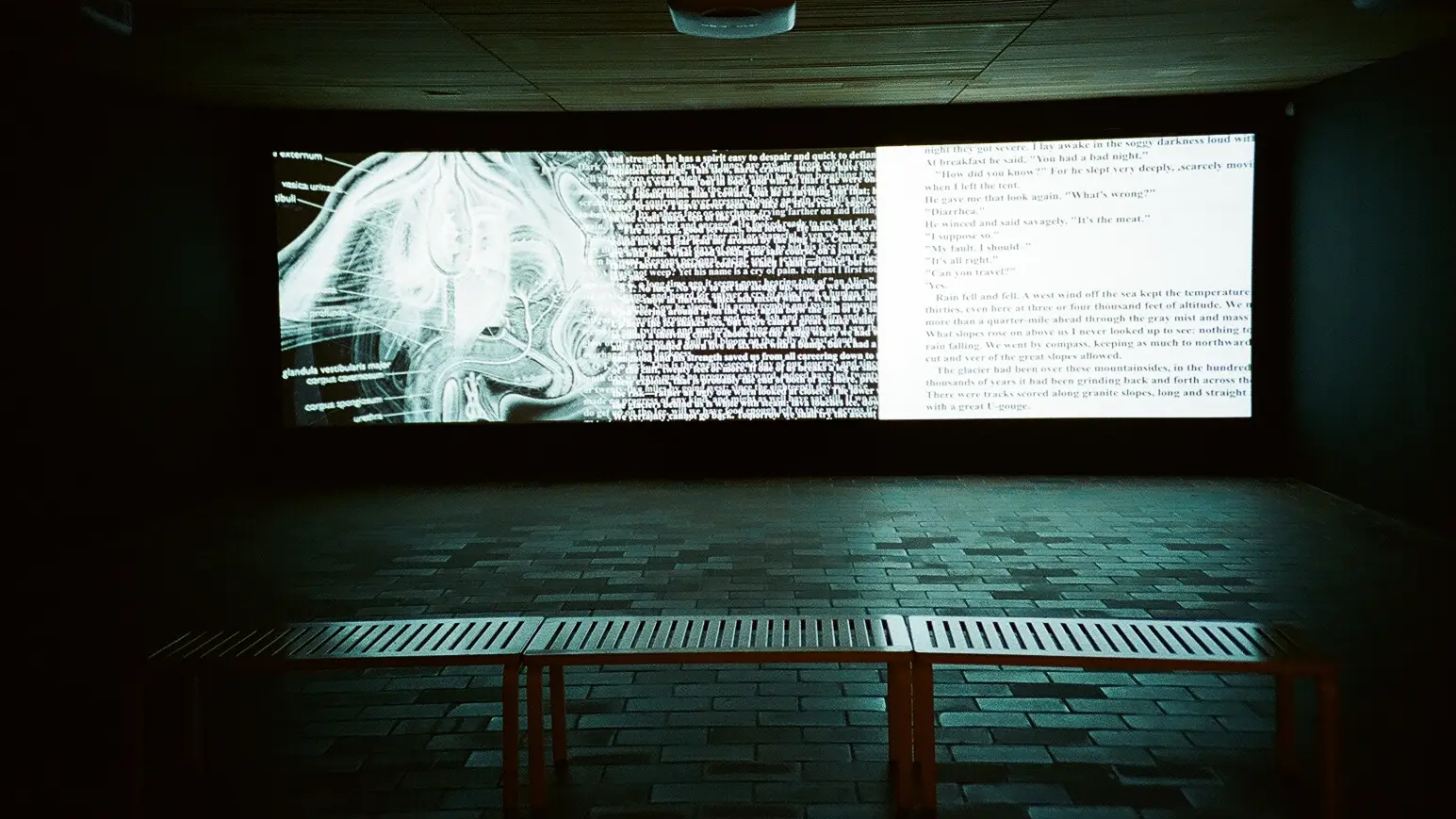 Project Space à Berlin