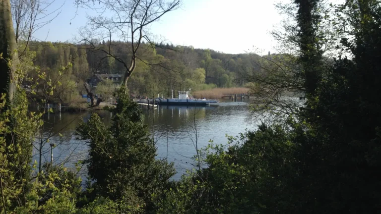 Lire la suite à propos de l’article L&rsquo;île aux paons