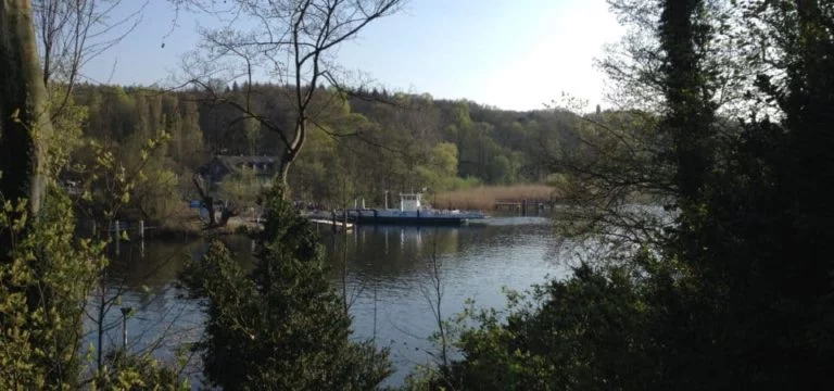 Lire la suite à propos de l’article L&rsquo;île aux paons