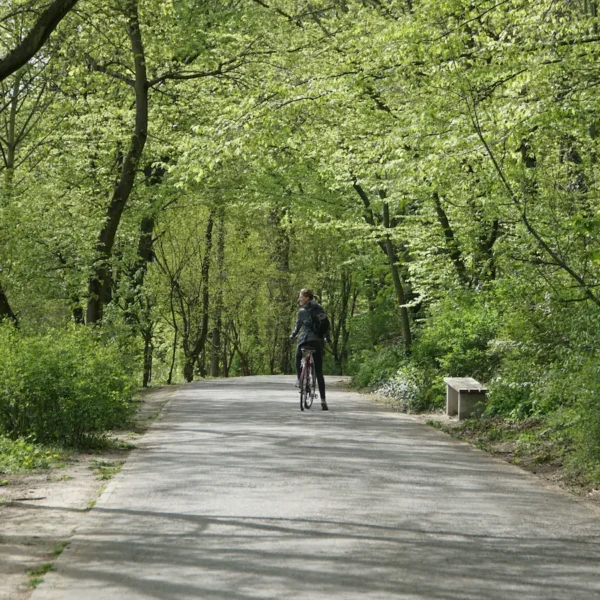 Circuit en vélo autour de Berlin
