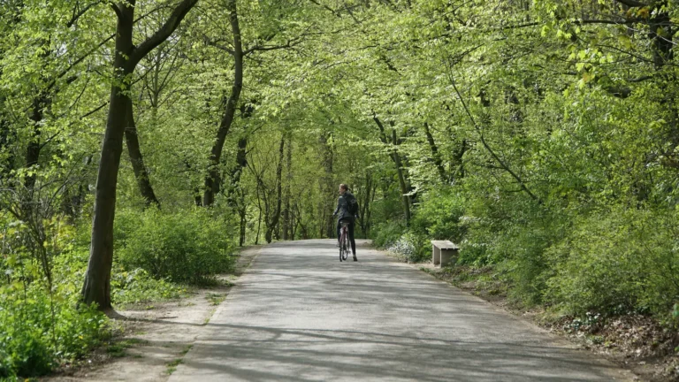 Lire la suite à propos de l’article Le tour de Berlin en vélo