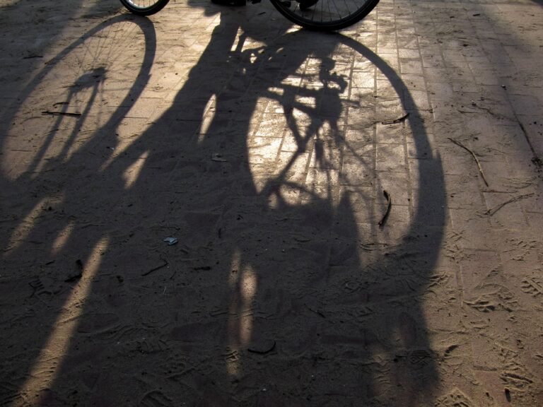 Lire la suite à propos de l’article A vélo à Berlin