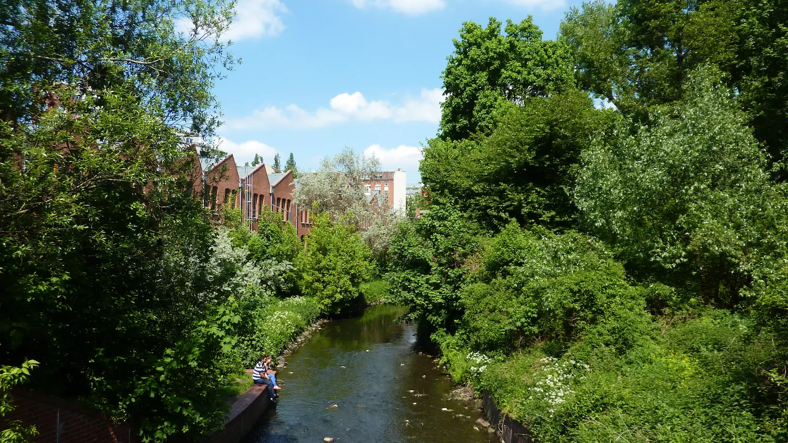 You are currently viewing Une journée à Wedding