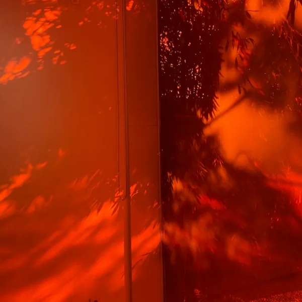 Expositions à Berlin en 2026